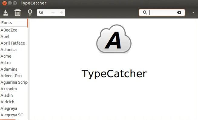 TypeCatcher